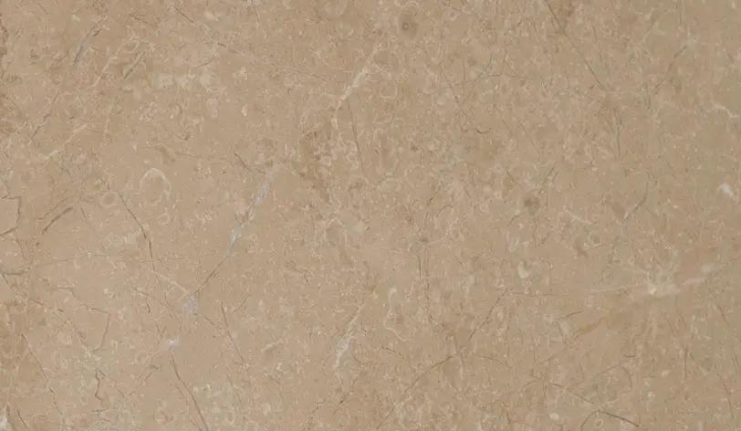 Antique Beige Fossil