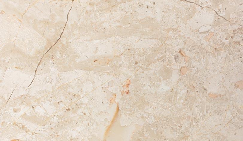 Crema Nouva Fossil